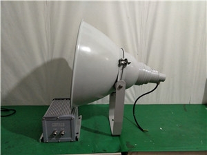 投射灯ses3100 ses3100