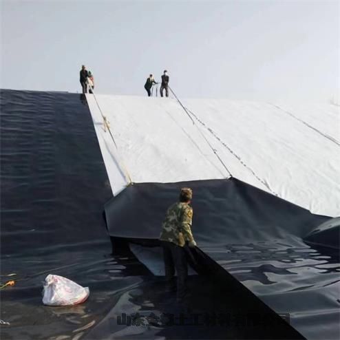 江西 堆浸池防渗层 绿色1.0厚hdpe土工膜 柔韧性强黑膜