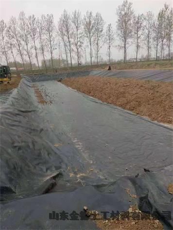 江西 堆浸池防渗层 绿色1.0厚hdpe土工膜 柔韧性强黑膜