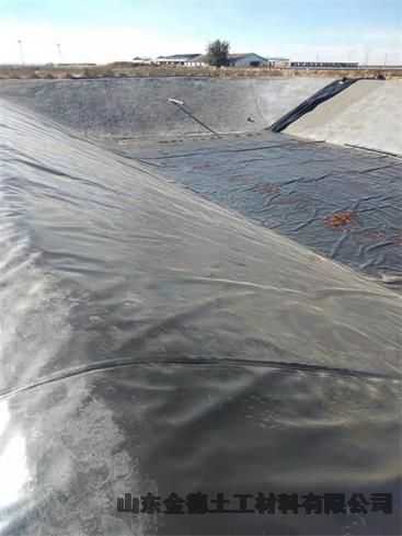 江西 堆浸池防渗层 绿色1.0厚hdpe土工膜 柔韧性强黑膜