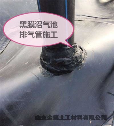 江西 堆浸池防渗层 绿色1.0厚hdpe土工膜 柔韧性强黑膜
