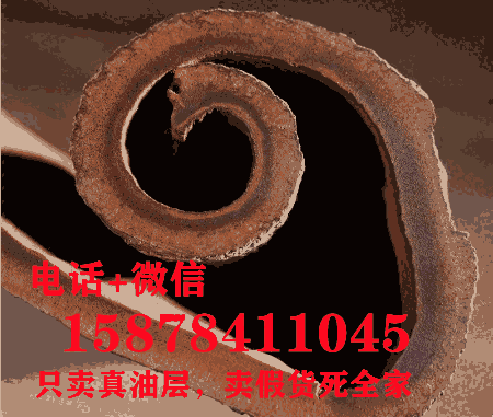 海南三沙市紫油桂特厚肉桂