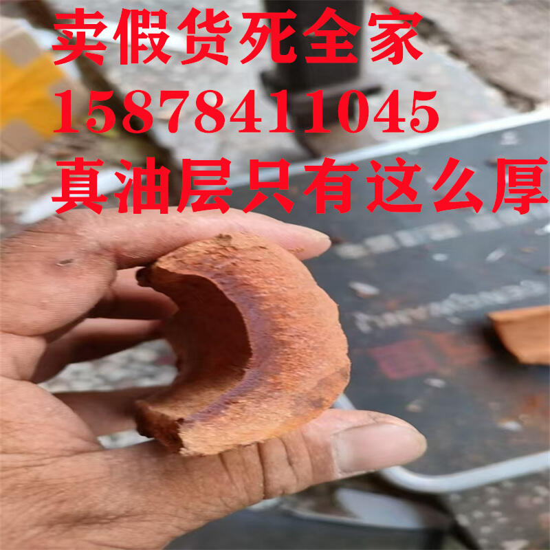 海南琼中黎族苗族自治县紫油桂特厚肉桂